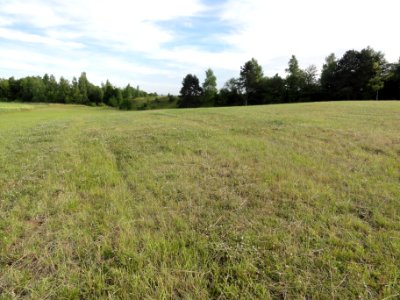Saint-Thomas (Aisne) camp des Romains (01)