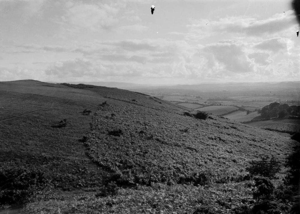 Rural view (1293733)