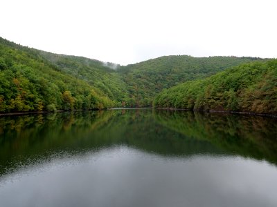 Rurtalsperre Obersee Urft in September 2019 73
