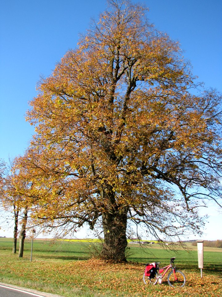 Ruppmannsburg, OT von Thalmässing (1)