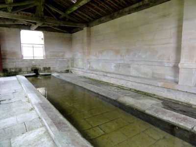 Rupt-aux-Nonains (Meuse) lavoir (02) photo