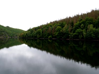 Rurtalsperre Obersee Urft in September 2019 26