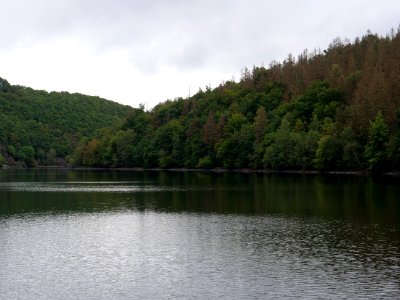 Rurtalsperre Obersee Urft in September 2019 15