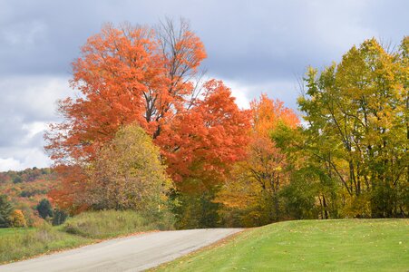 Autumn nature season