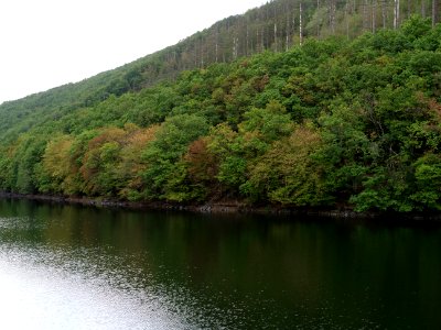 Rurtalsperre Obersee Urft in September 2019 131