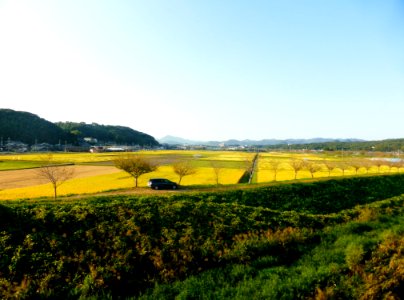 Rural landscape near JR Shin-Sanda station photo