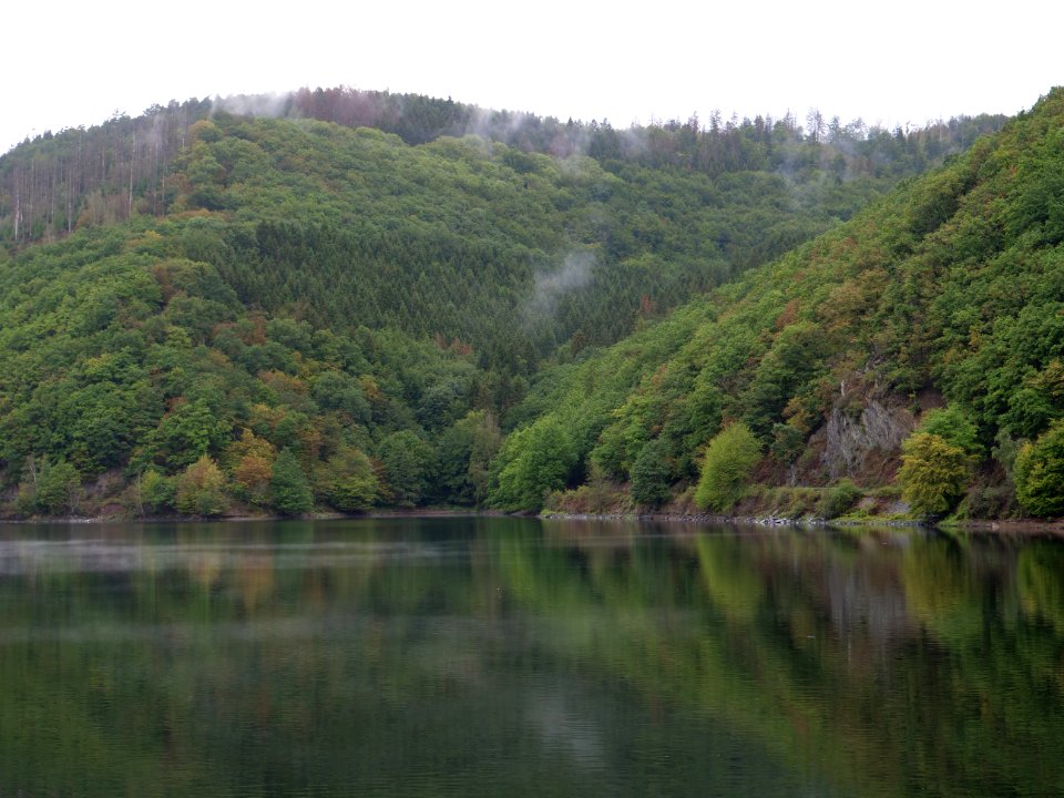Rurtalsperre Obersee Urft in September 2019 117
