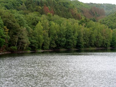Rurtalsperre Obersee Urft in September 2019 108