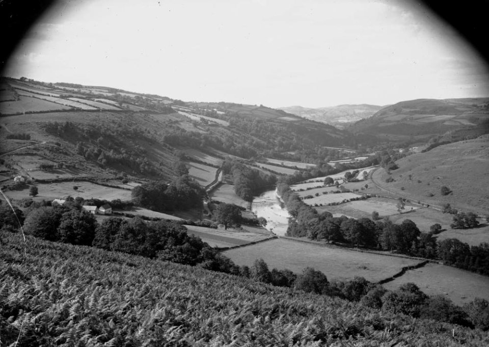 Rural view (1294754)