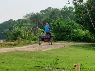 Rural Life 2