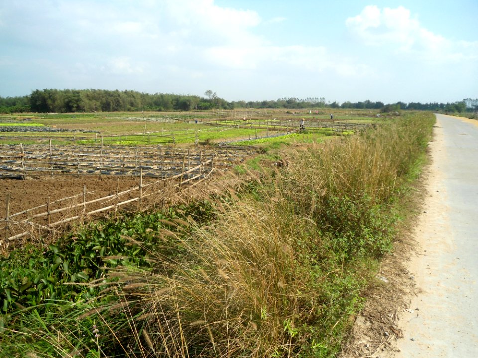 Rural farms near Ding an - 01