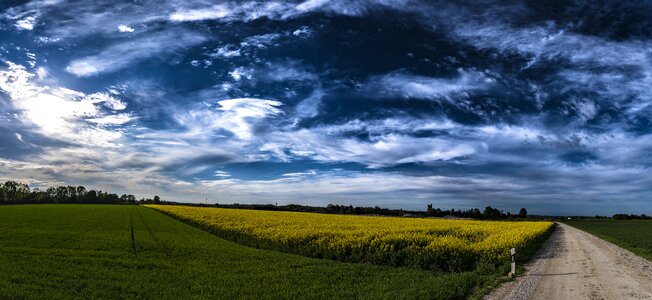 Sky landscape oilseed rape photo