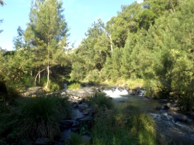 Running Creek at Running Creek, Queensland 2 photo