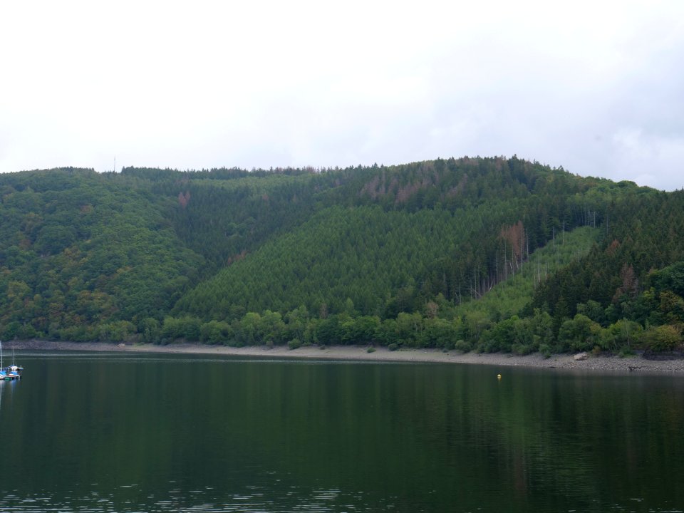 Rurtalsperre from Rurberg in September 2019 19