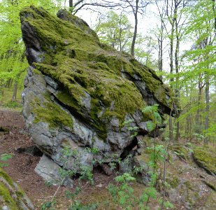 Ruppertshain, Hohler Stein photo