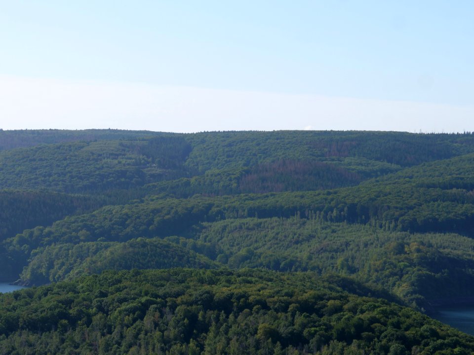 Rurtalsperre from Schöne Aussicht Schmidt 04