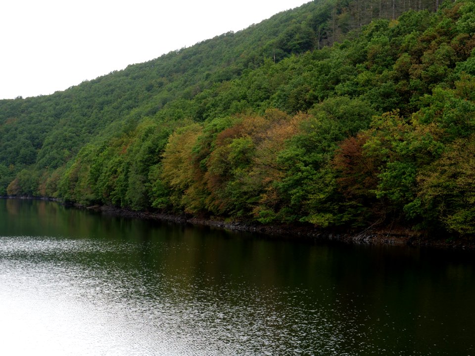 Rurtalsperre Obersee Urft in September 2019 129