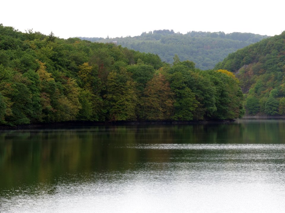 Rurtalsperre Obersee Urft in September 2019 127