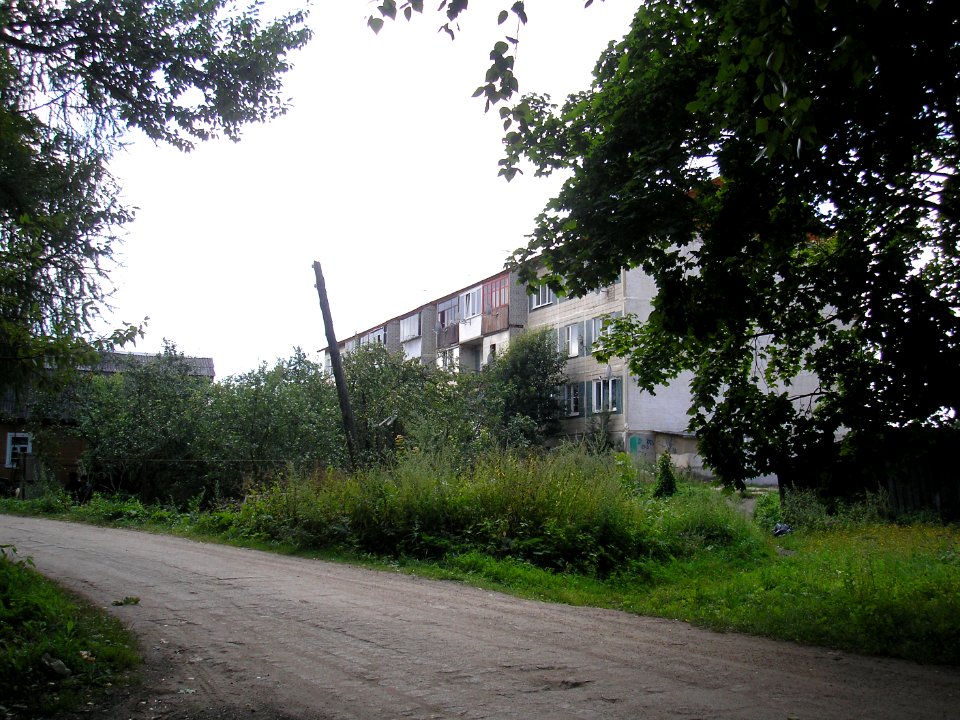 Rumyantsevo, Istra district 19