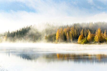 Morning finnish nature