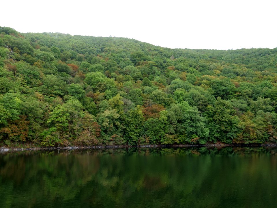 Rurtalsperre Obersee Urft in September 2019 81
