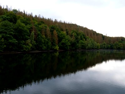 Rurtalsperre Obersee Urft in September 2019 124