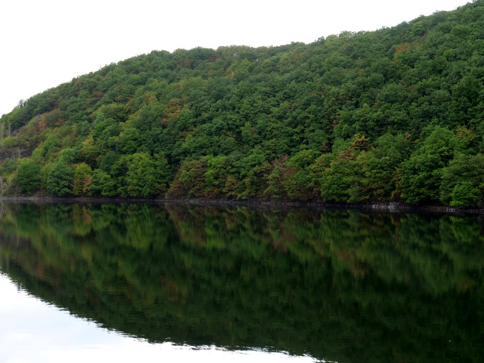 Rurtalsperre Obersee Urft in September 2019 134