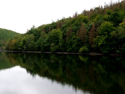 Rurtalsperre Obersee Urft in September 2019 28