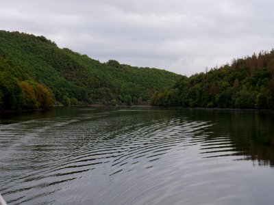 Rurtalsperre Obersee Urft in September 2019 136