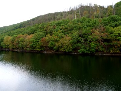 Rurtalsperre Obersee Urft in September 2019 132