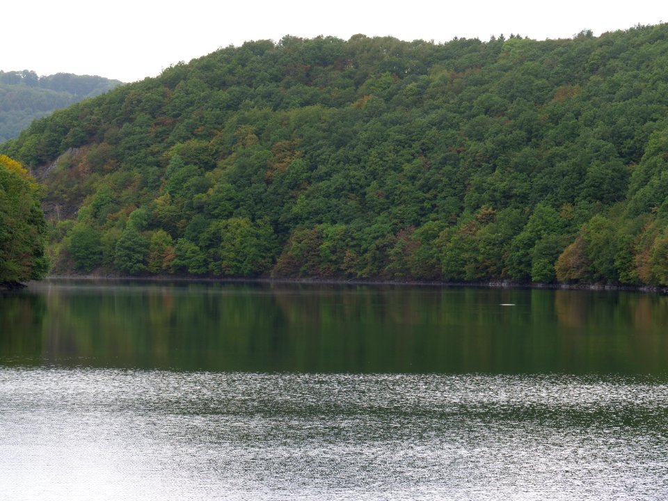 Rurtalsperre Obersee Urft in September 2019 128