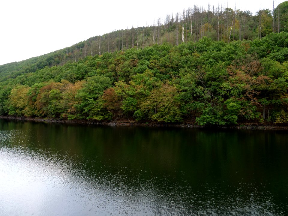 Rurtalsperre Obersee Urft in September 2019 133
