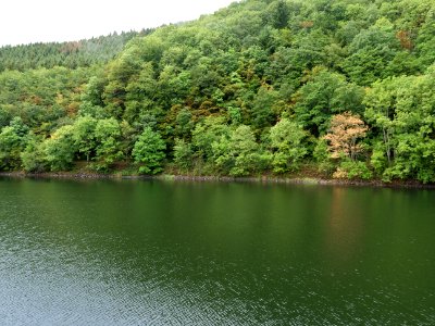 Rurtalsperre Obersee Urft in September 2019 99