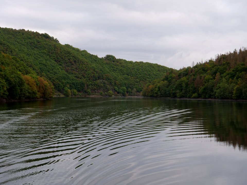 Rurtalsperre Obersee Urft in September 2019 137