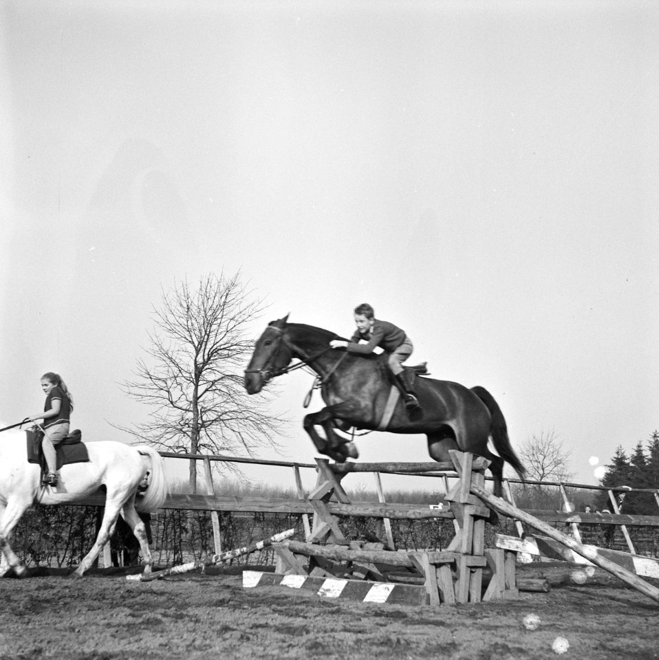 Ruitersportserie, Bestanddeelnr 912-1445