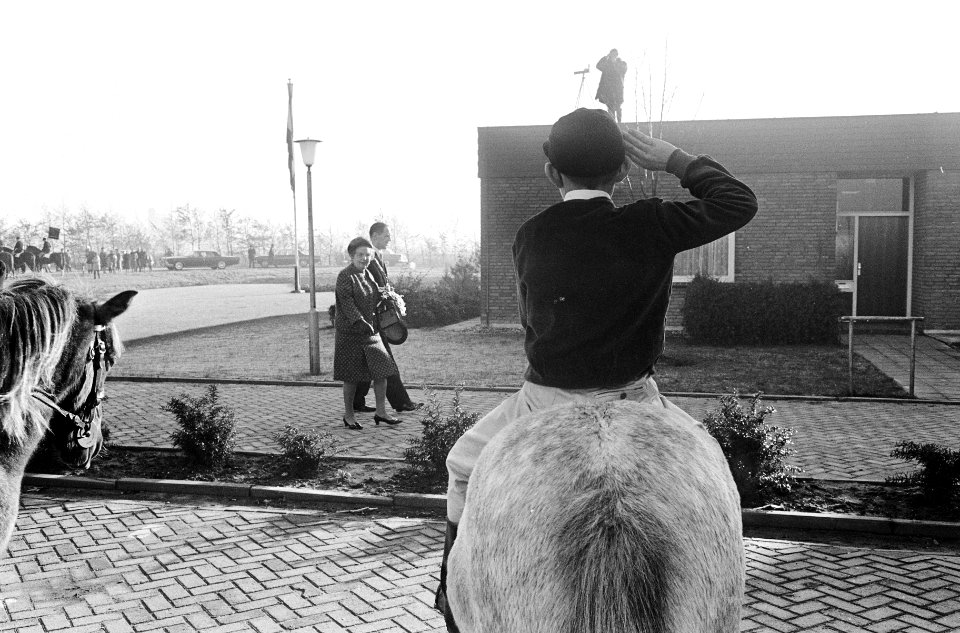 Ruiter te paard salueert voor de koningin, Bestanddeelnr 920-8416