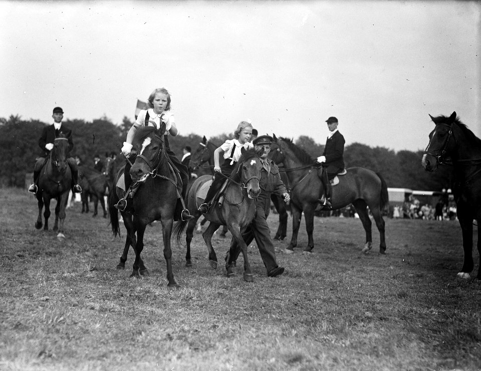 Ruiterfeest Prinsesjes te paard, Bestanddeelnr 902-3650