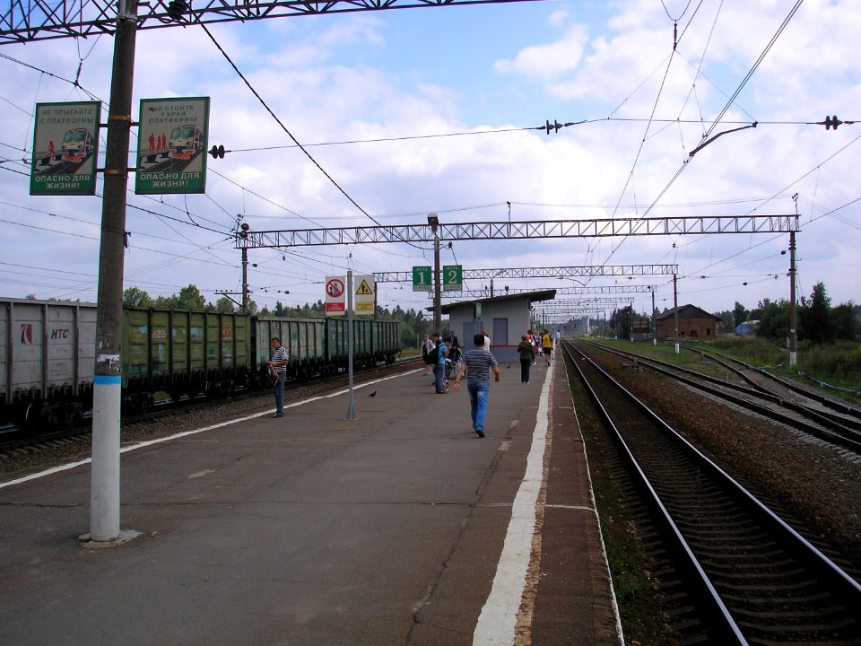 Rumyantsevo 8