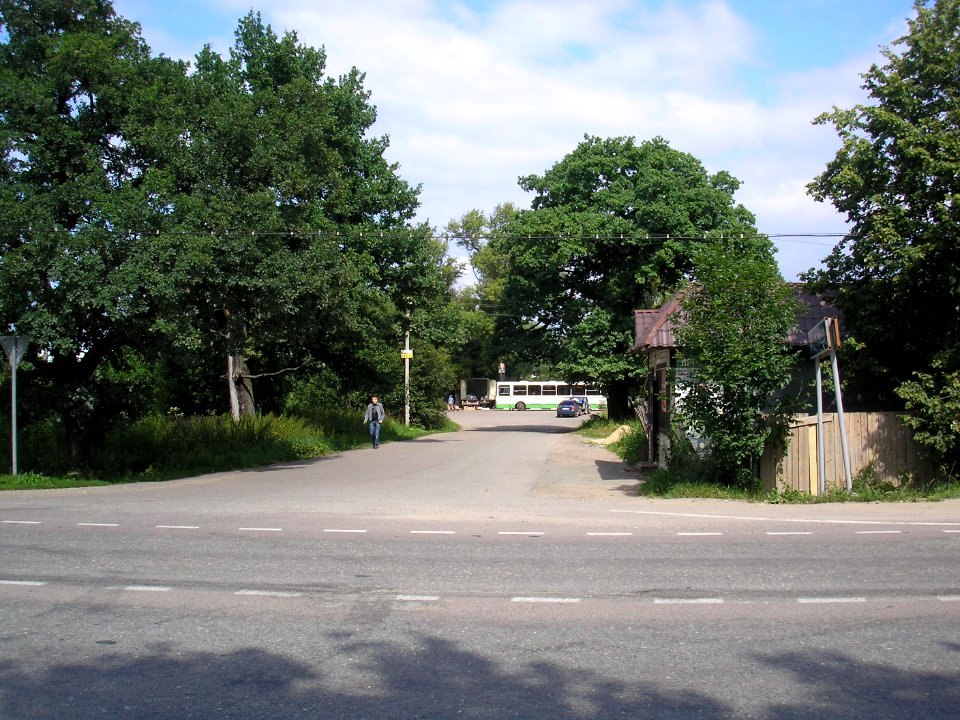 Rumyantsevo, Istra district 22
