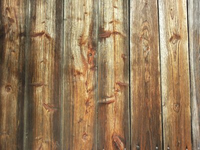 Texture wood lumber photo