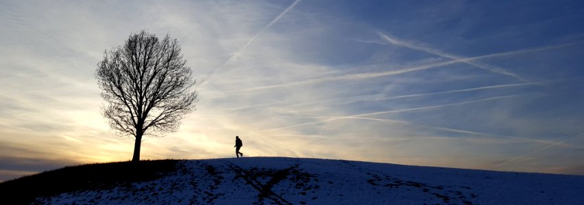 Runner (210039919)