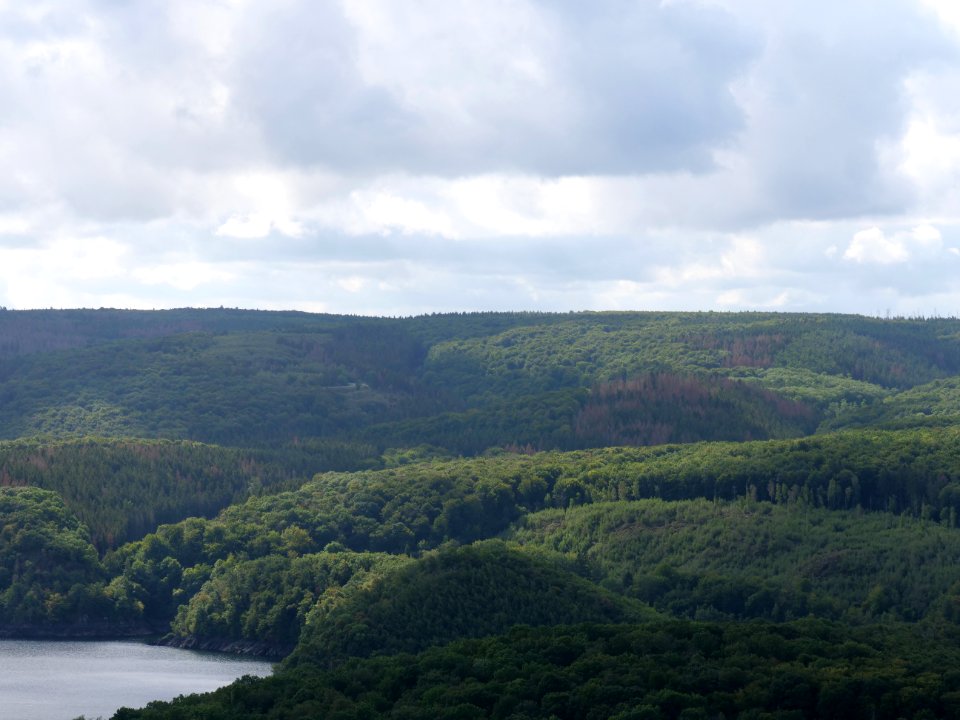 Rurtalsperre from Schöne Aussicht Schmidt 36