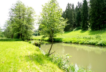 Rund Um Lupburg Around Lupburg (157226239)
