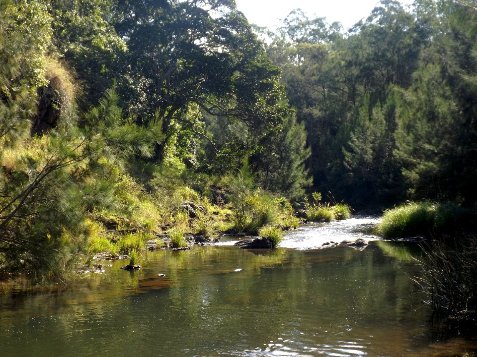 Running Creek at Running Creek, Queensland