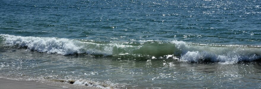 Beach nature shallow