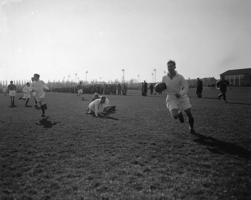 Rugbyteam Nederlands Bondsteam tegen Duitsland, Bestanddeelnr 909-4238
