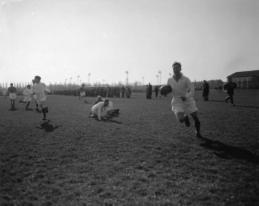 Rugbyteam Nederlands Bondsteam tegen Duitsland, Bestanddeelnr 909-4238