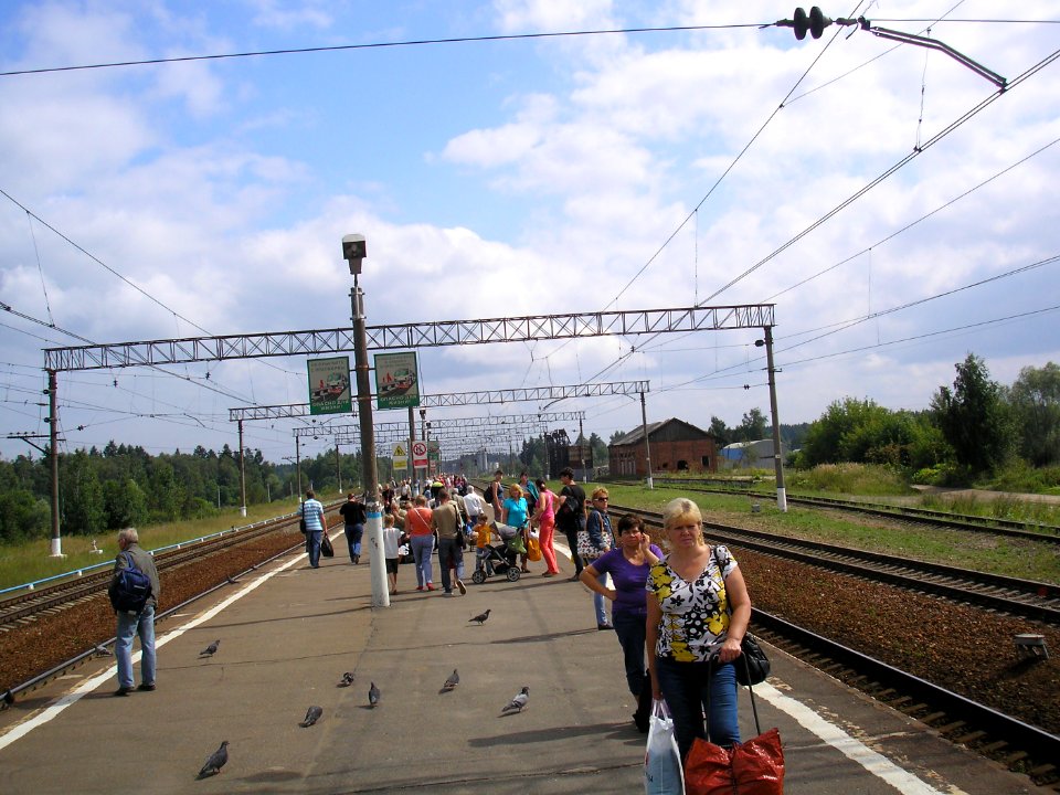Rumyantsevo 5
