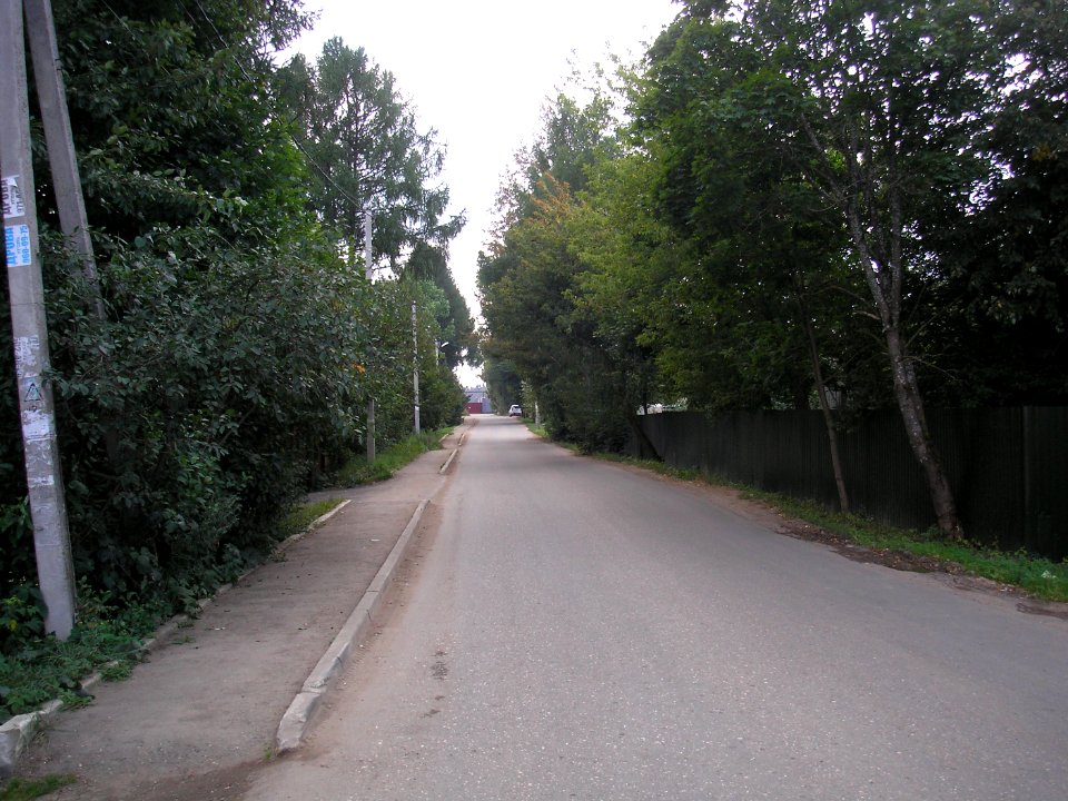 Rumyantsevo, Istra district 7