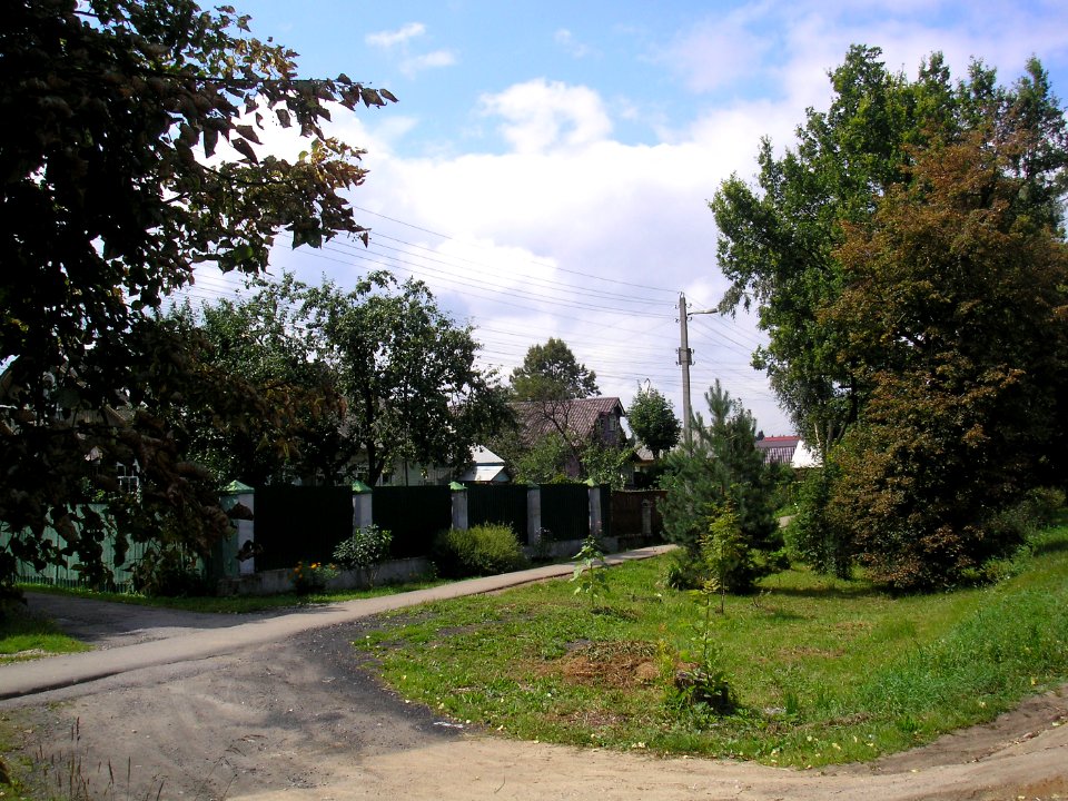 Rumyantsevo, Istra district 24
